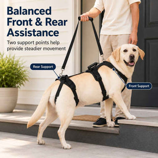 Komavic Full-Body Dog Lift Harness for Large Dogs