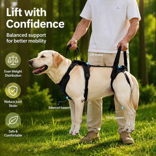 Paws in Awe Full-Body Dog Lift Harness for Large Dogs - Front & Rear Mobility Support for Stairs, Car Ramps and Weak Hind Legs