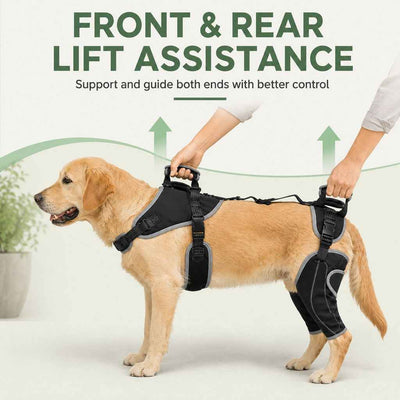 Paws in Awe Full-Body Dog Lift Harness with Dual Rear-Leg Support - Easier Standing, Stairs & Car Entry