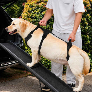Komavic Full-Body Dog Lift Harness for Large Dogs