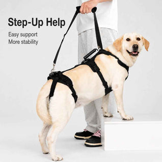 Komavic Full-Body Dog Lift Harness for Large Dogs