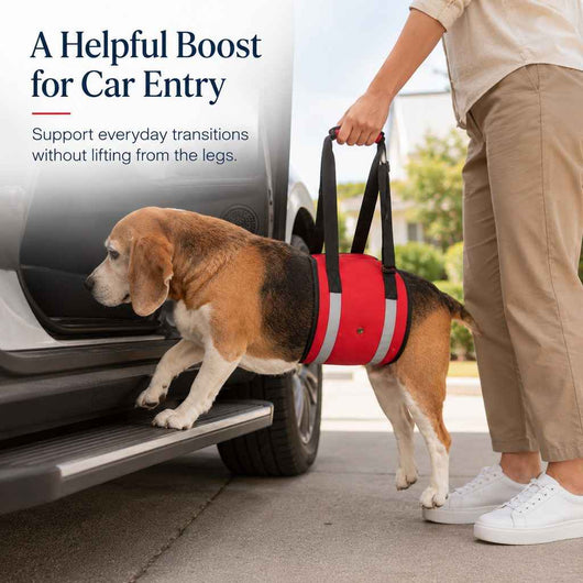 Paws in Awe Reflective Dog Lift Support Sling - Belly Assist for Dogs with Limited Mobility on Stairs, Walks & Car Entry