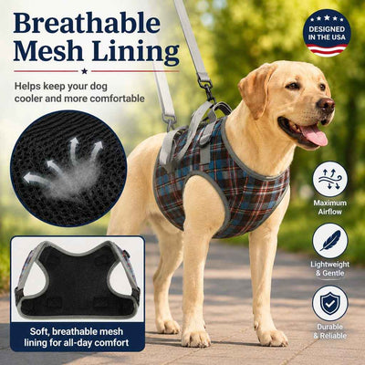Paws in Awe Dog Mobility Support Harness for Stairs & Cars - Front or Rear Lift Assist for Weak Legs