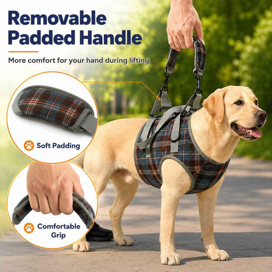 Paws in Awe Dog Mobility Support Harness for Stairs & Cars - Front or Rear Lift Assist for Weak Legs
