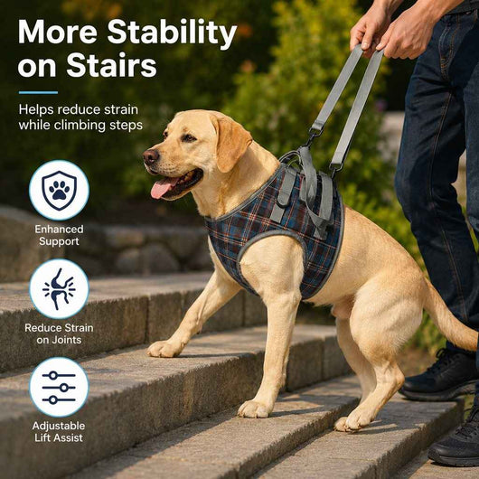 Paws in Awe Dog Mobility Support Harness for Stairs & Cars - Front or Rear Lift Assist for Weak Legs