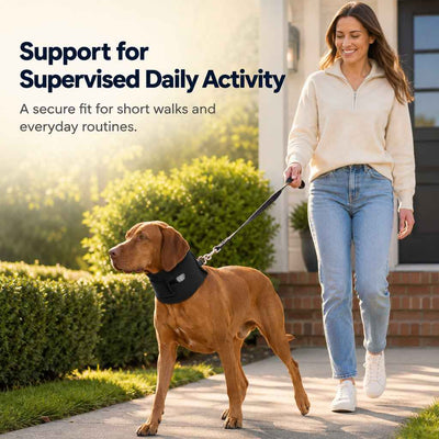 Paws in Awe Adjustable Dog Neck Support Brace for Rest & Recovery - Breathable Cervical Collar for Limited Neck Movement
