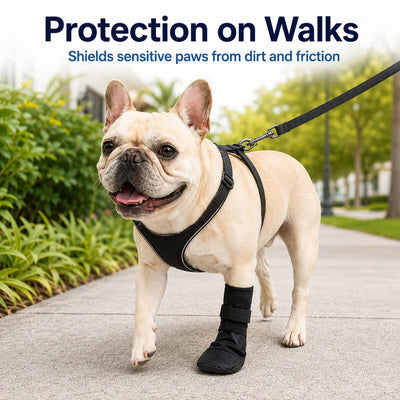 Komavic Dog Paw Recovery Boot