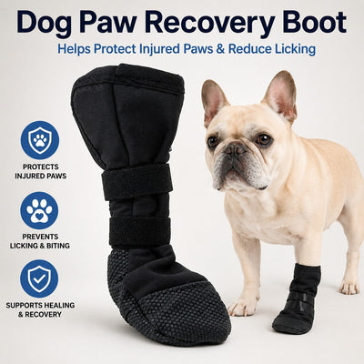 Komavic Dog Paw Recovery Boot