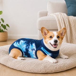 Komavic Dog Recovery Suit Spay & Neuter Protection