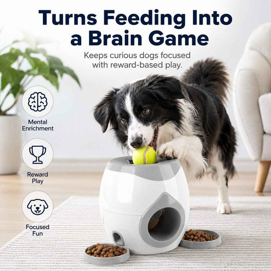 Paws in Awe Ball-Activated Dog Puzzle Feeder for Indoor Play & Slow Eating - Interactive Treat Dispenser Toy with Tennis Balls, Side Trays & Scoop
