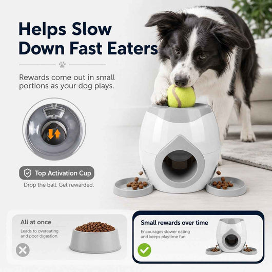Paws in Awe Ball-Activated Dog Puzzle Feeder for Indoor Play & Slow Eating - Interactive Treat Dispenser Toy with Tennis Balls, Side Trays & Scoop