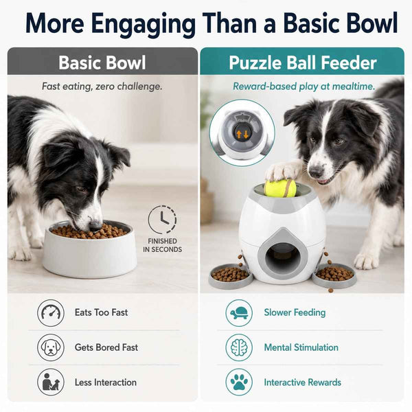 Paws in Awe Ball-Activated Dog Puzzle Feeder for Indoor Play & Slow Eating - Interactive Treat Dispenser Toy with Tennis Balls, Side Trays & Scoop