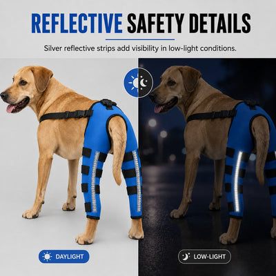 Komavic Reflective Dog Rear Leg Support Brace for Evening Walks