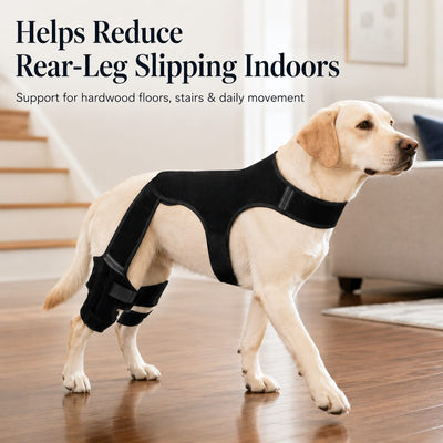 Komavic Dog Rear Leg Support Brace for Hardwood Floors & Recovery Walks