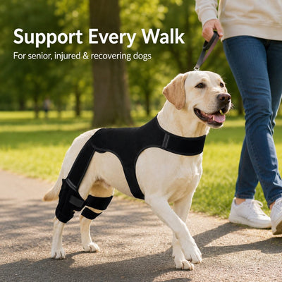 Komavic Dog Rear Leg Support Brace for Hardwood Floors & Recovery Walks