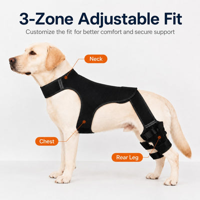 Komavic Dog Rear Leg Support Brace for Hardwood Floors & Recovery Walks