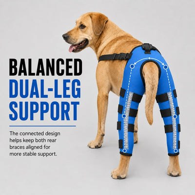 Komavic Reflective Dog Rear Leg Support Brace for Evening Walks