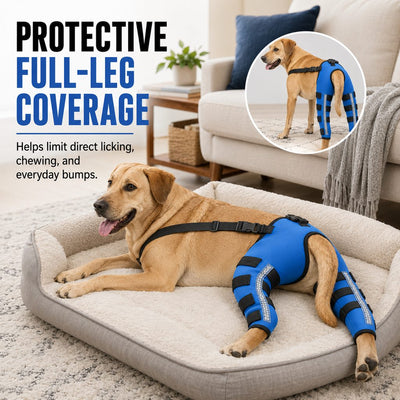 Komavic Reflective Dog Rear Leg Support Brace for Evening Walks