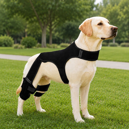 Komavic Dog Rear Leg Support Brace for Hardwood Floors & Recovery Walks