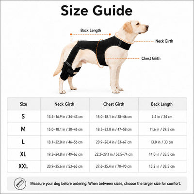 Komavic Dog Rear Leg Support Brace for Hardwood Floors & Recovery Walks