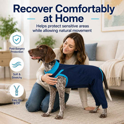 Paws in Awe Dog Recovery Suit with Rear Leg Coverage - Anti-Lick Cone Alternative