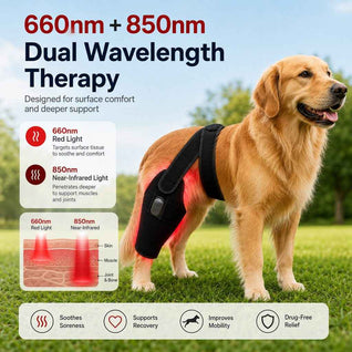 Komavic Red Light Hind Leg Wrap for Dogs