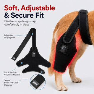 Komavic Red Light Hind Leg Wrap for Dogs