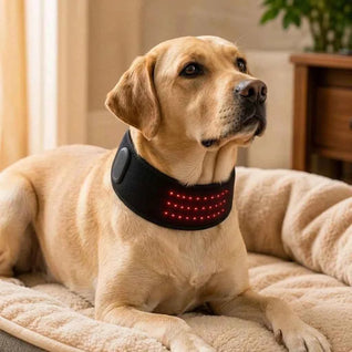 Komavic Pet Red Light Wellness Belt