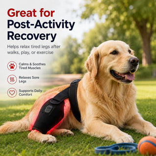 Komavic Red Light Hind Leg Wrap for Dogs