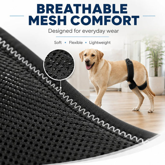 Komavic Dog Hip & Rear Leg Brace Dual Hind-Leg Support