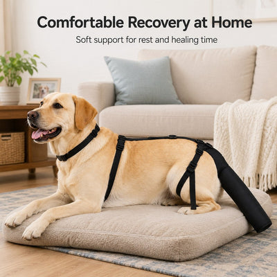 Komavic Adjustable Dog Tail Protector