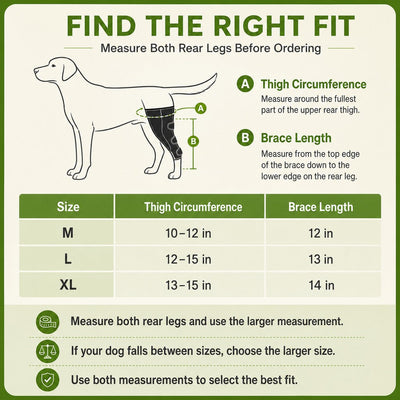 Komavic Dual Rear Leg Dog Support Brace with Harness