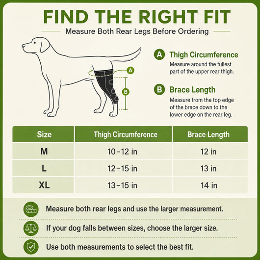 Komavic Dual Rear Leg Dog Support Brace with Harness