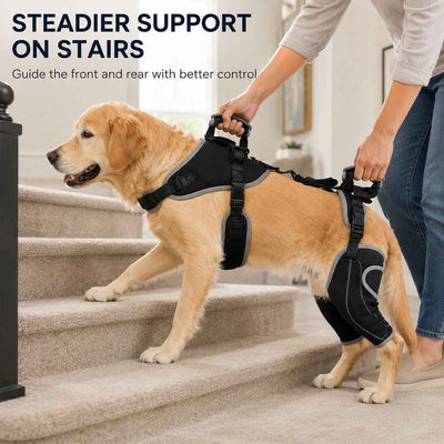 Paws in Awe Full-Body Dog Lift Harness with Dual Rear-Leg Support - Easier Standing, Stairs & Car Entry