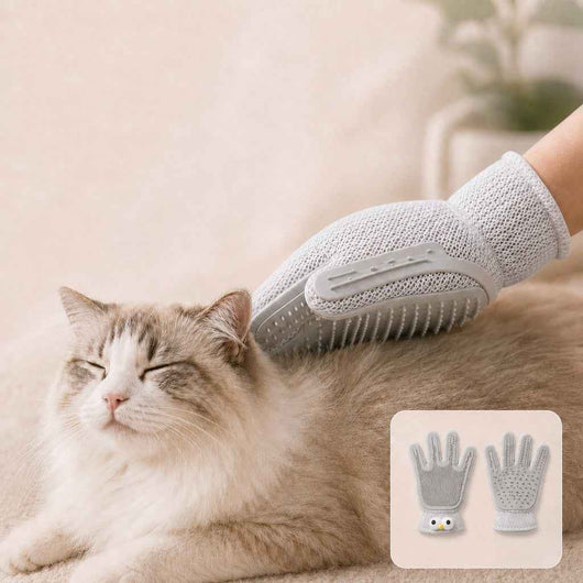 Paws in Awe Dual-Sided Pet Grooming Glove for Couch & Bath Time - Gentle Deshedding, Massage & Fur Cleanup for Cats &Dogs