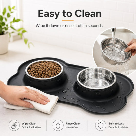 Spill-Proof Dual Pet Bowl with Raised Silicone Mat