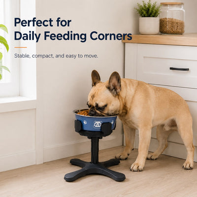 Large Dog Adjustable Elevated Tilted Dog Bowl