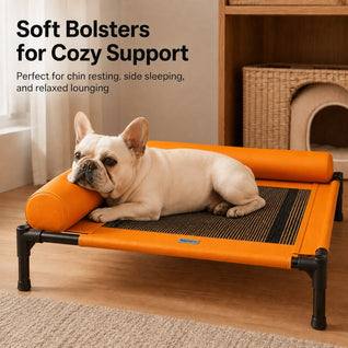 Komavic Elevated Dog Cot for All-Season Indoor Naps - Breathable Raised Pet Bed with Soft Bolsters for Cooler Rest & Easy Cleaning
