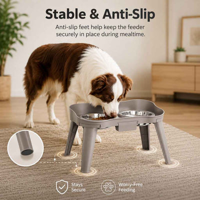 Paws in Awe Elevated Pet Feeder with Spill Guard for Cats & Dogs - Raised Dual Stainless Steel Bowls for Cleaner Floors