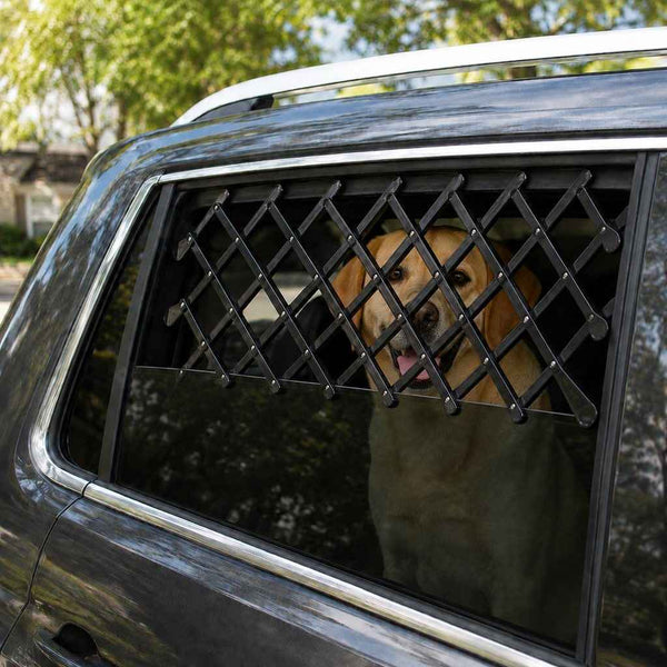 Paws in Awe Expandable Dog Car Window Guard for Car Rides - Adjustable Rear Window Barrier for Curious Dogs