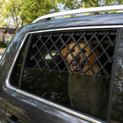 Paws in Awe Expandable Dog Car Window Guard for Car Rides - Adjustable Rear Window Barrier for Curious Dogs