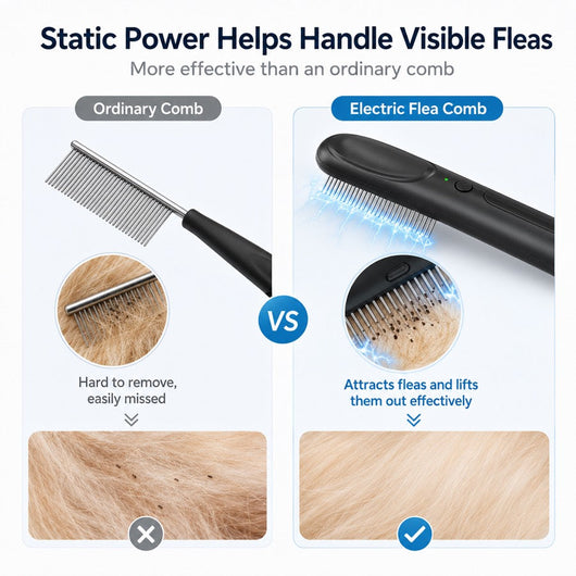 Electric Flea Comb for Dogs & Cats
