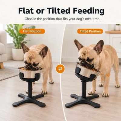 Paws in Awe French Bulldog Adjustable Elevated Tilted Dog Bowl for Kitchen Feeding Corners - 3-Height Stand with Slow Feeder Insert to Reduce Neck Bending & Mess