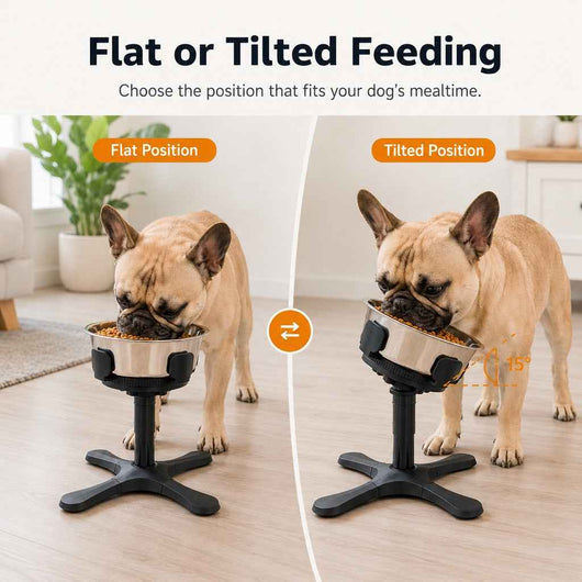 Paws in Awe French Bulldog Adjustable Elevated Tilted Dog Bowl for Kitchen Feeding Corners - 3-Height Stand with Slow Feeder Insert to Reduce Neck Bending & Mess