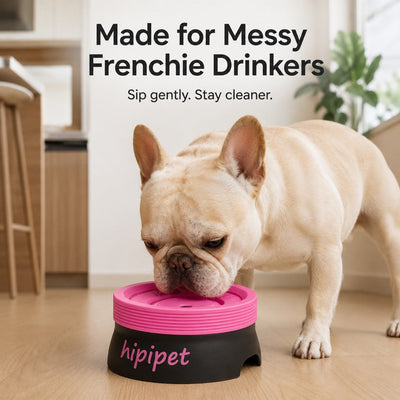 No-Drip Floating Water Bowl