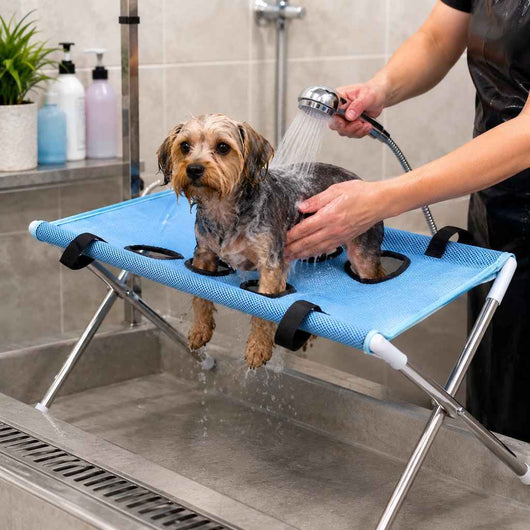 Paws in Awe Foldable Pet Grooming Stand for Cats & Small Dogs - Bathing & Nail Trimming Support for Less Squirming