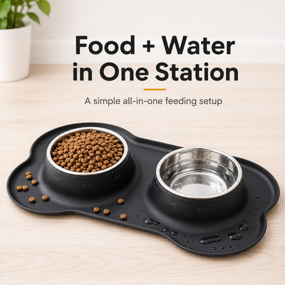 Spill-Proof Dual Pet Bowl with Raised Silicone Mat