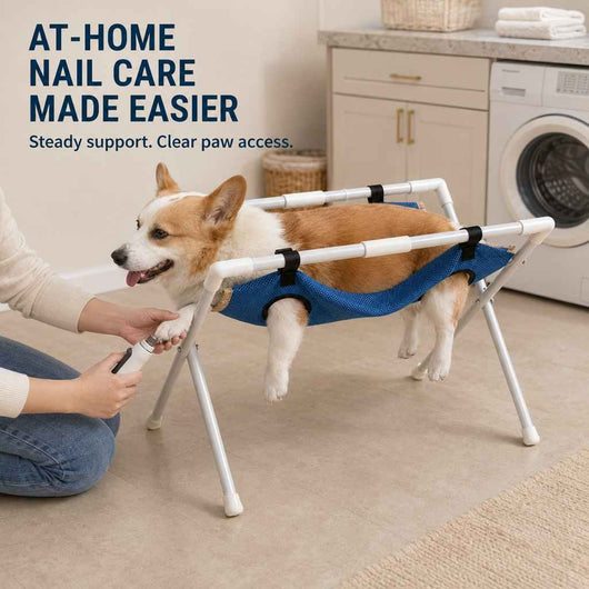 Paws in Awe Freestanding Foldable Pet Grooming Hammock Stand for Easier At-Home Nail Trimming – Dogs & Cats