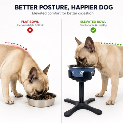 Large Dog Adjustable Elevated Tilted Dog Bowl