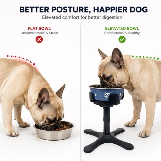 Large Dog Adjustable Elevated Tilted Dog Bowl